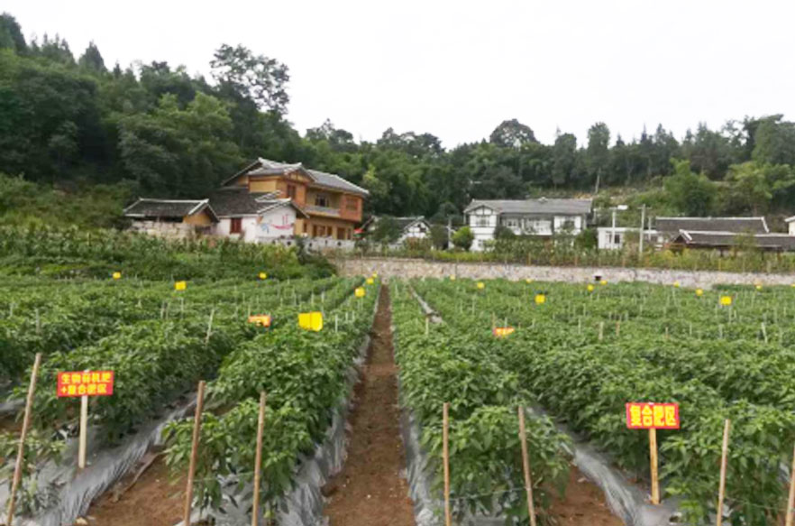 贵阳生物有机肥