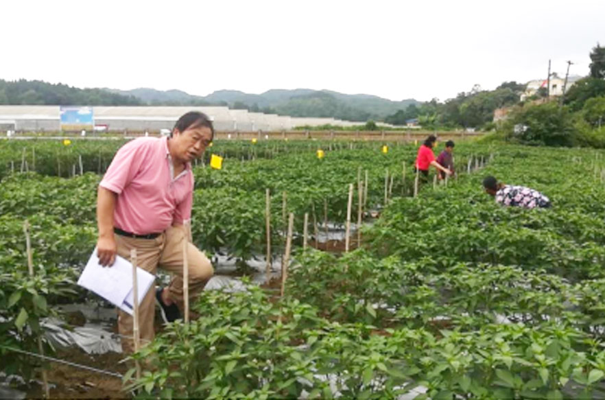 贵阳生物有机肥